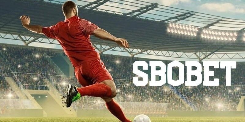 RTG Điện tử