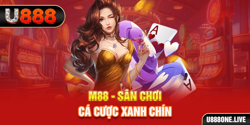 w88ud2 gà chọi cậu thanh