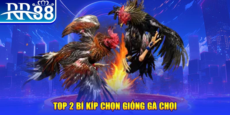 w88ud2 xem đá gà trực tiếp