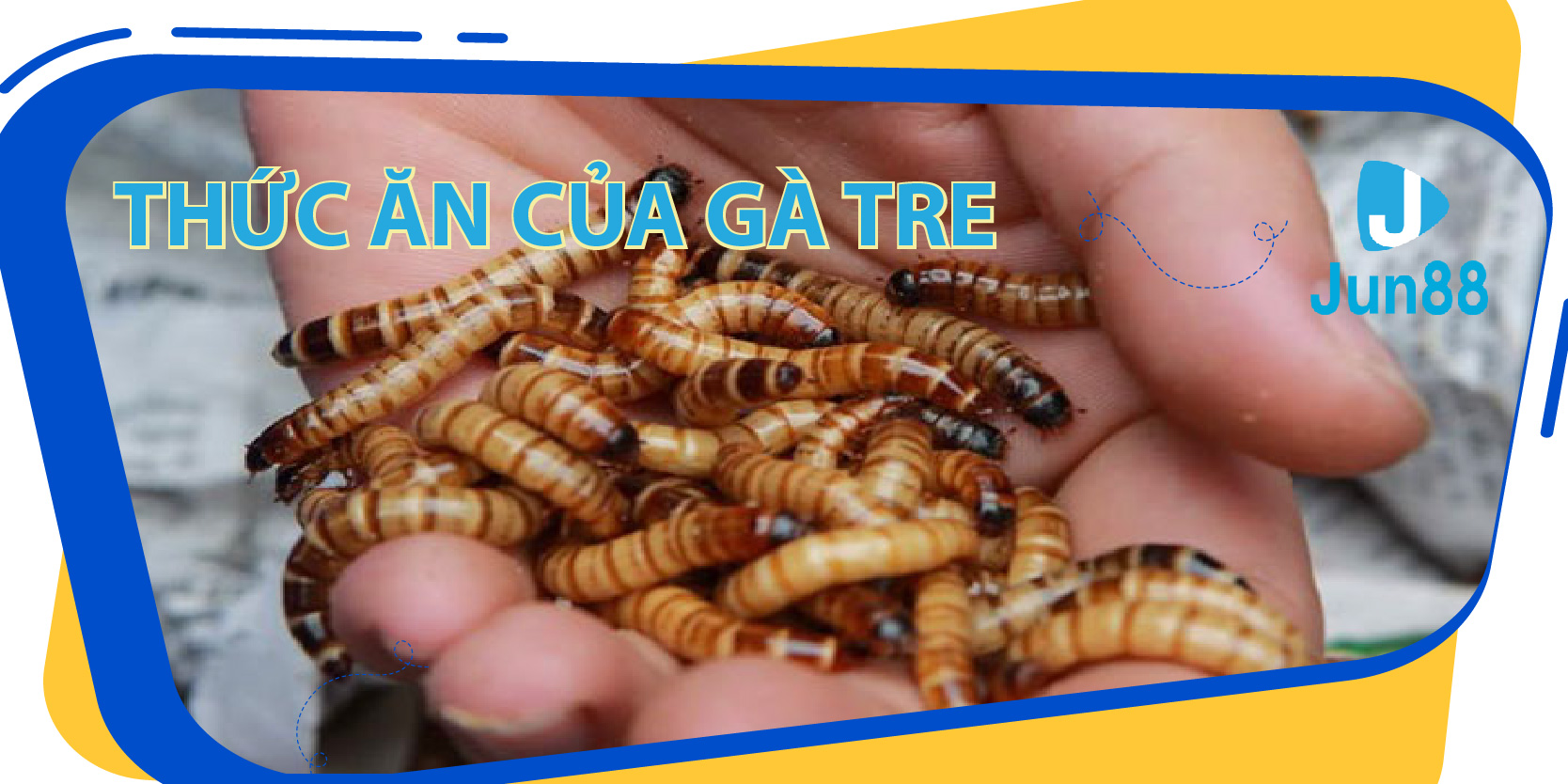 w88ud2 đăng nhập tiến lên miền nam số 1