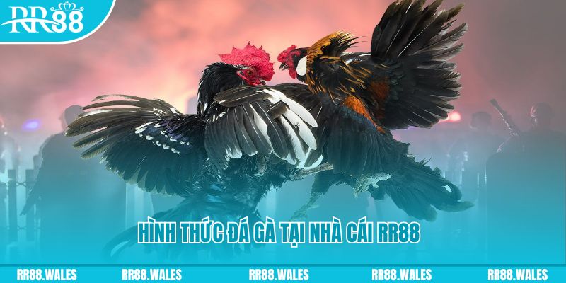 w88ud2 slot tiếng anh la gì
