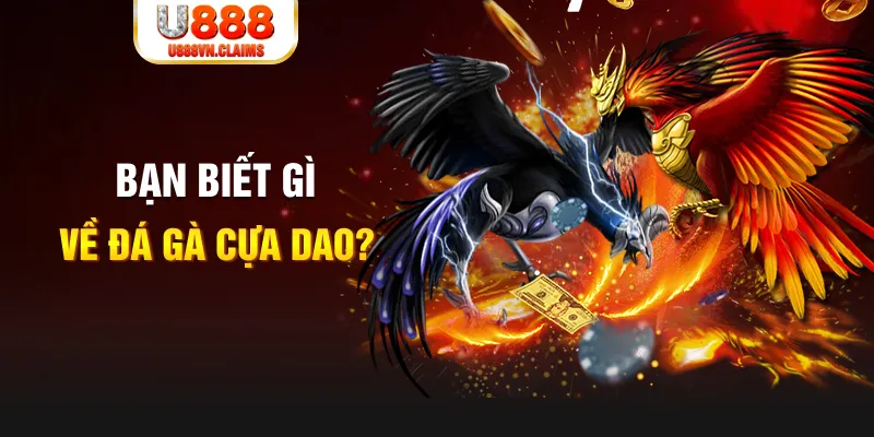 w88ud2 đăng nhập mậu binh miễn phí