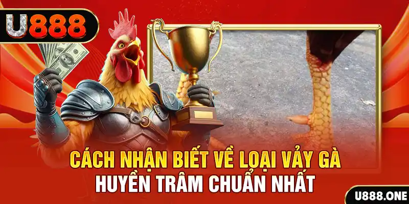 tai game danh bai tien len tren may tinh
