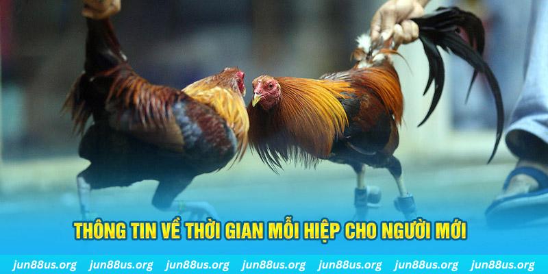 w88ud2 đăng nhập poker mới nhất