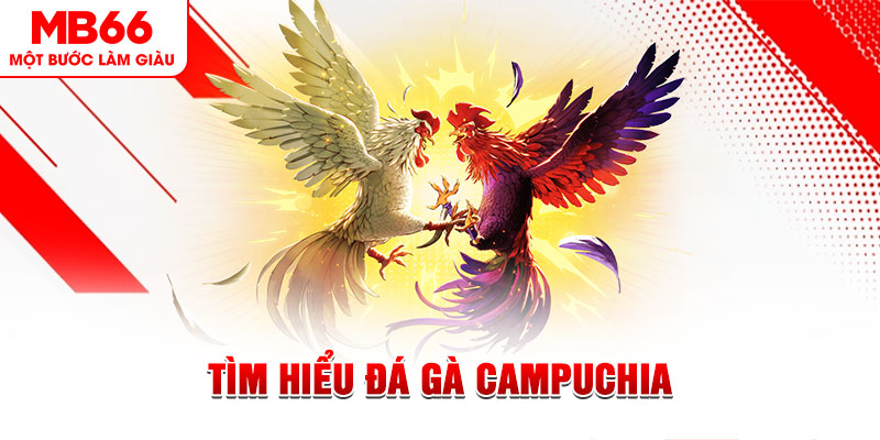 w88ud2 đăng nhập lô đề trực tiếp