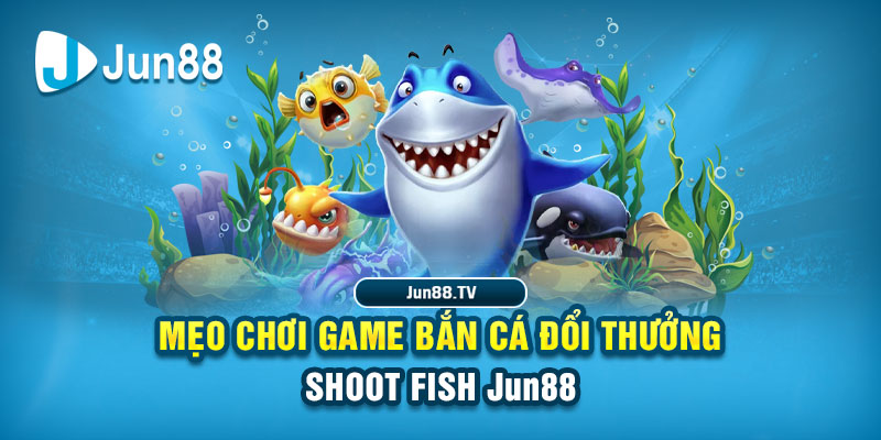 w88ud2 tai game danh bai bigkool ve may tinh