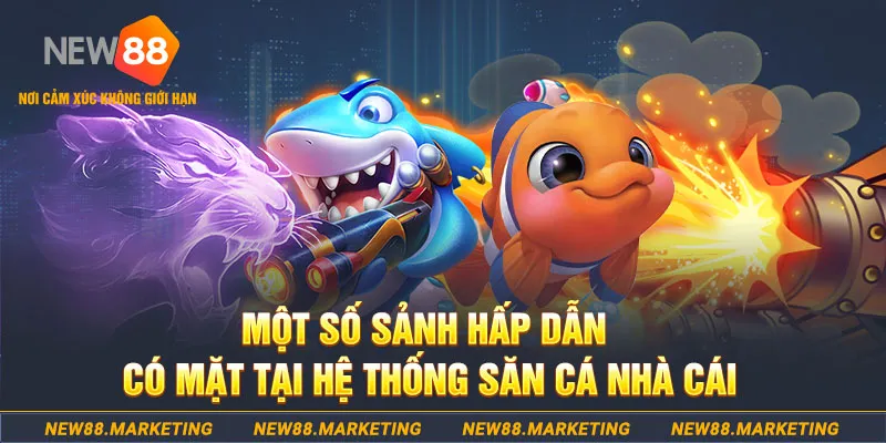 w88ud2 xổ số an giang