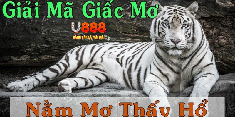 w88ud2 xổ số kiến thiết miền bắc