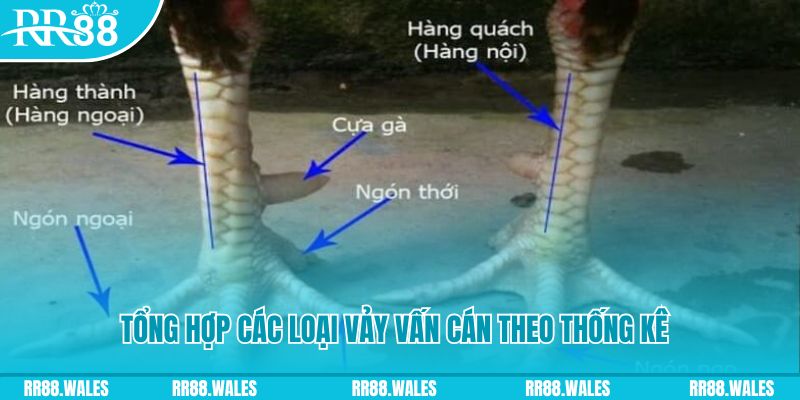w88ud2 nổ hũ chơi như thế nào