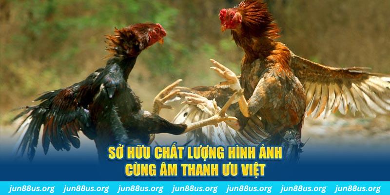 w88ud2 tai game danh bai ve may tinh