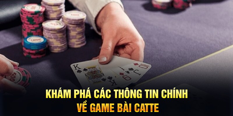 w88ud2 Trăm người Bo tám Bo chín