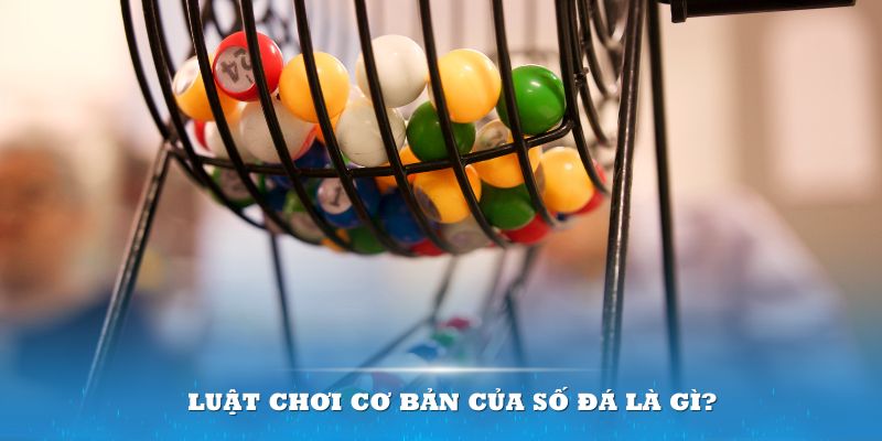 w88ud2 bản kiểm điểm cá nhân