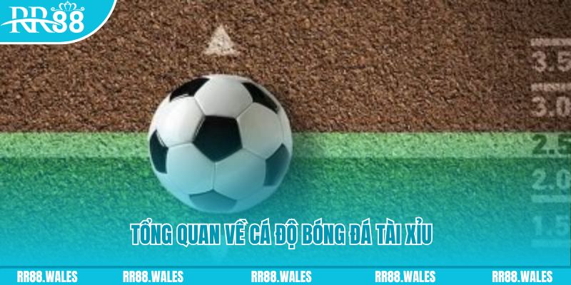 w88ud2 dự đoán xổ số miền bắc