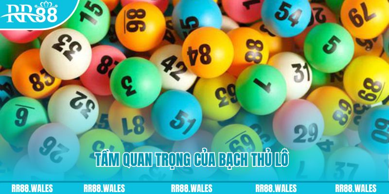 w88ud2 đá gà trực tiếp casino