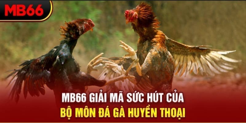 w88ud2 long bảo baccarat la gì