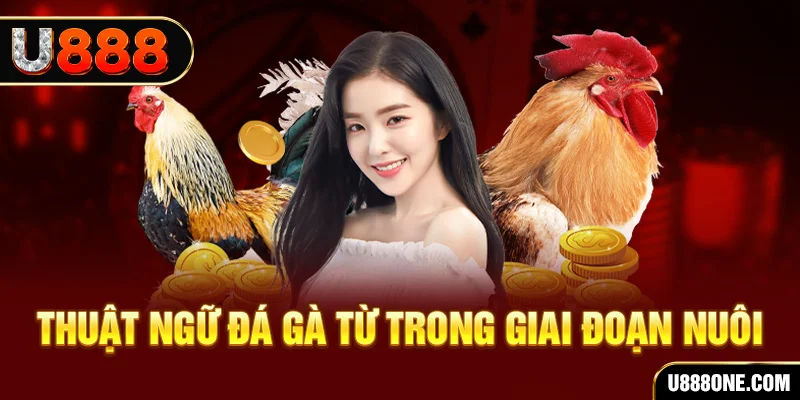 w88ud2 đăng nhập sòng bạc khuyến mãi