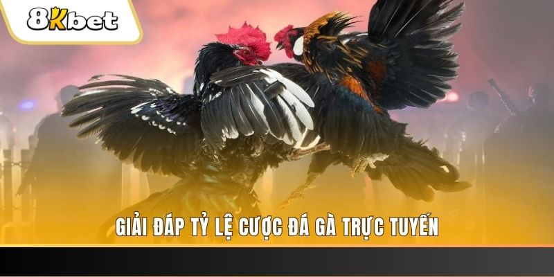 w88ud2 xổ số ba đài