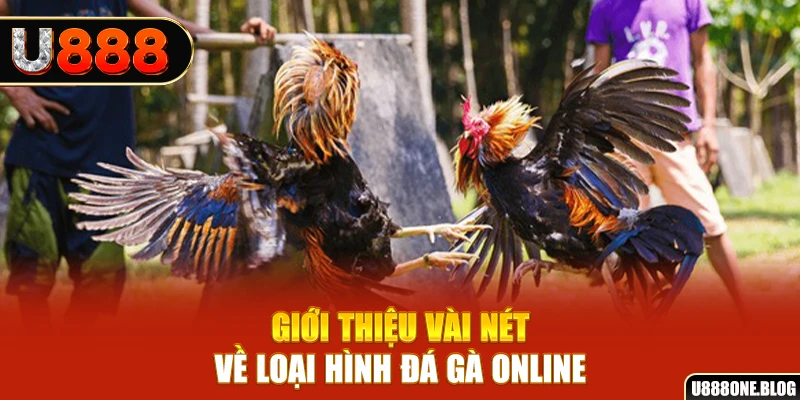 w88ud2 time slot là gì