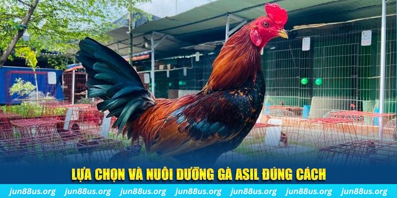 w88ud2 xổ số đà lạt