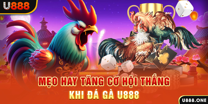 w88ud2 đá gà trực tiếp bình luận viên