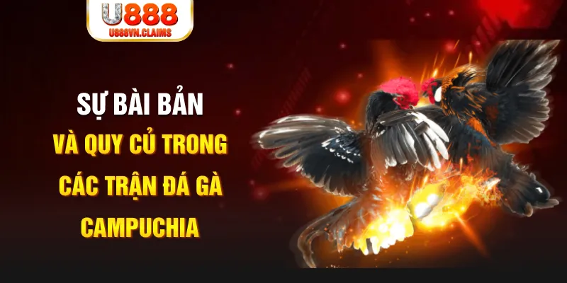 w88ud2 xổ số miền bắc hôm nay