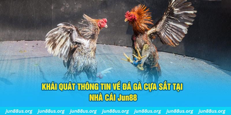 w88ud2 game bài trên máy tính