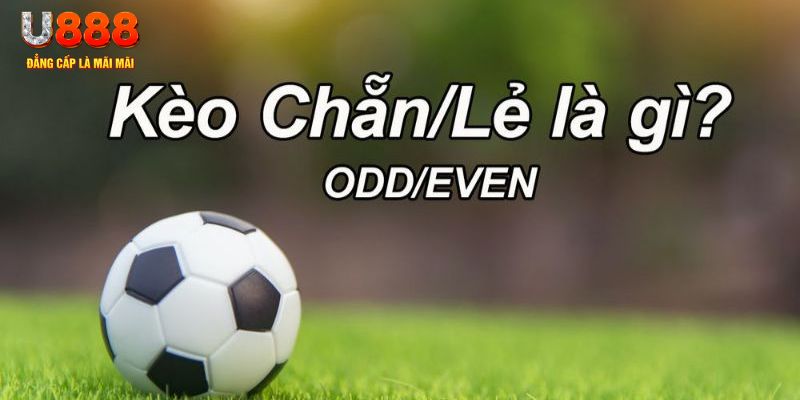w88ud2 xổ số miền nam chiều nay