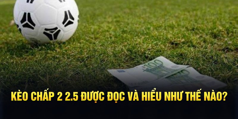 w88ud2 đá gà thomo