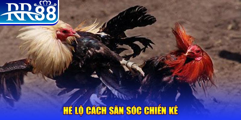 w88ud2 đăng nhập liêng số 1