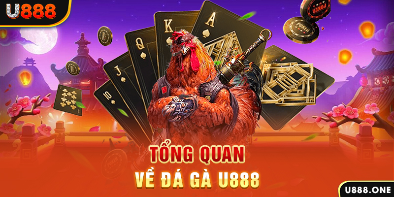 w88ud2 xổ số miền bắc hôm